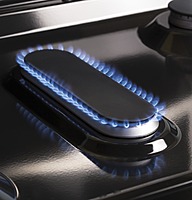 GE® JGBS66REKSS 30" Free-Standing Gas Range GE® JGBS66REKSS 30" Free-Standing Gas Range